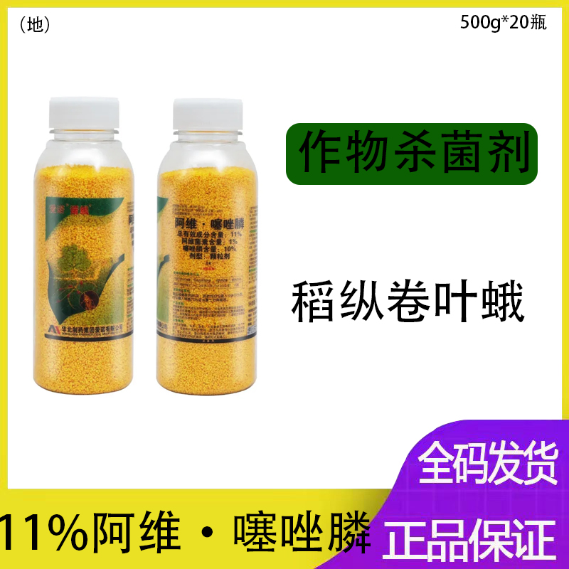 诺线.jpg