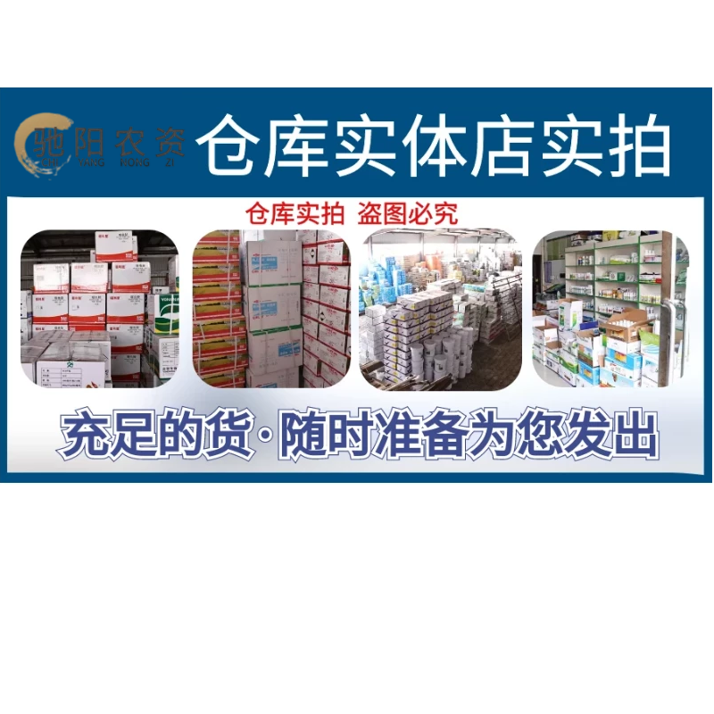 15a3b390-2fd5-4c38-a75a-fcf7fefec59a - 副本 - 副本 - 副本 - 副本 - 副本 - 副本 - 副本 - 副本 - 副本.png