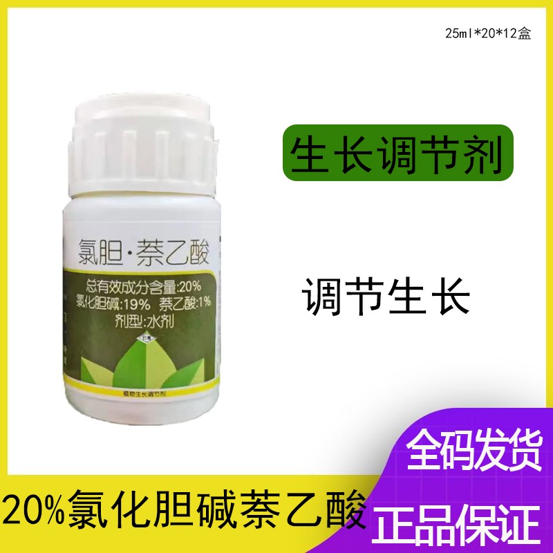 兰月地下大地下作物块根块茎膨大植物生长正品包邮批发姜蒜红薯大