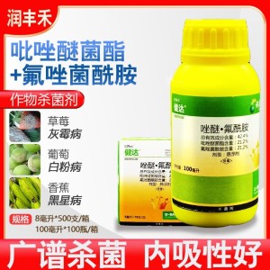 巴斯夫健达-42.4%唑醚·氟酰胺-悬浮剂