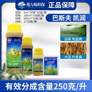 巴斯夫凯润-250克/升吡唑醚菌酯-乳油