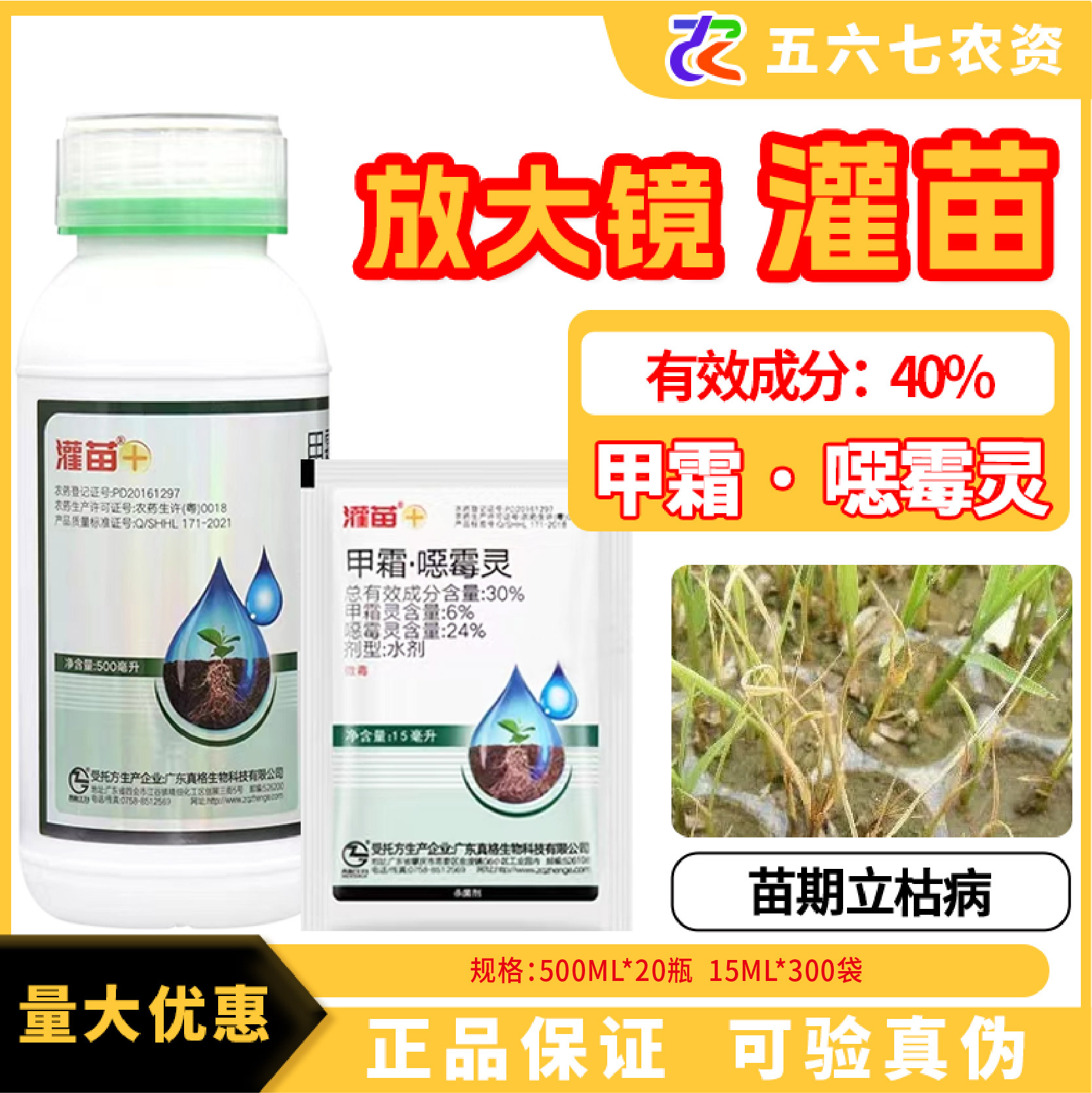 放大镜灌苗-30%甲霜恶霉灵-水剂