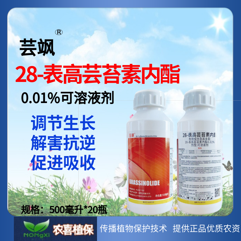 红芸飒 0.01%28-表高芸苔素内酯可溶液剂  小麦  调节生长