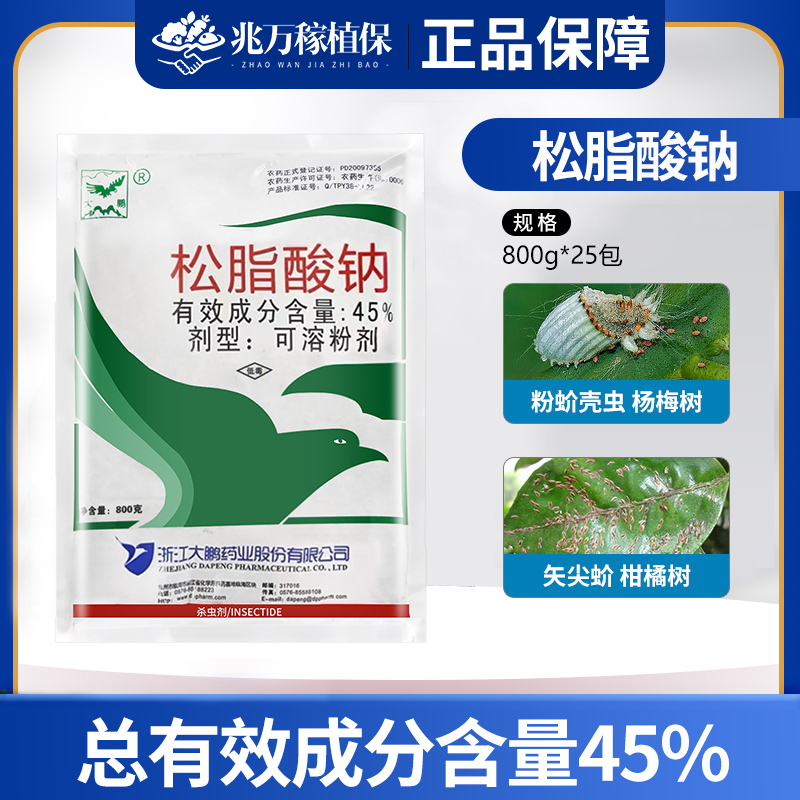大鹏 45%松脂酸钠 杨梅树粉蚧壳虫