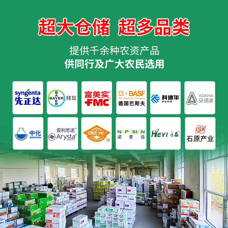 瑞德丰 50%腐霉利 番茄灰霉病病菌植物农药杀菌剂