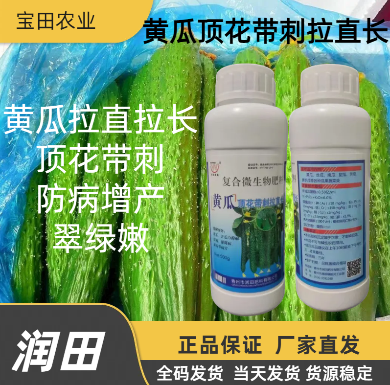 润田 黄瓜顶花带刺拉长素 黄瓜拉直顺长带刺翠绿嫩