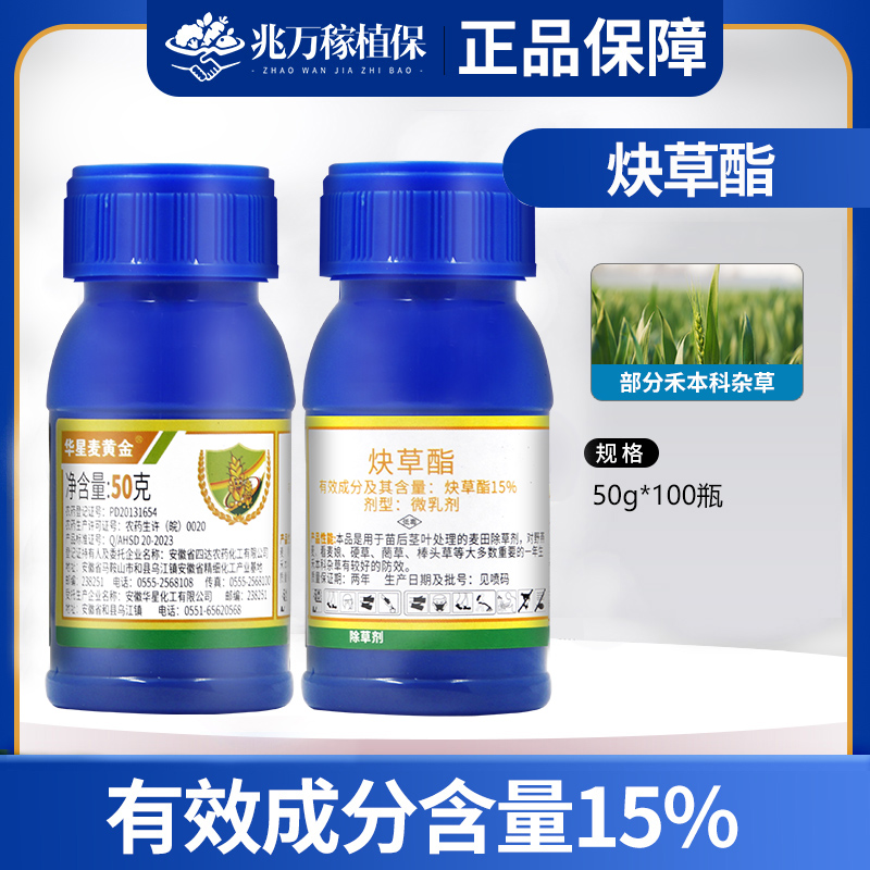 华星麦黄金15%炔草籽除草剂