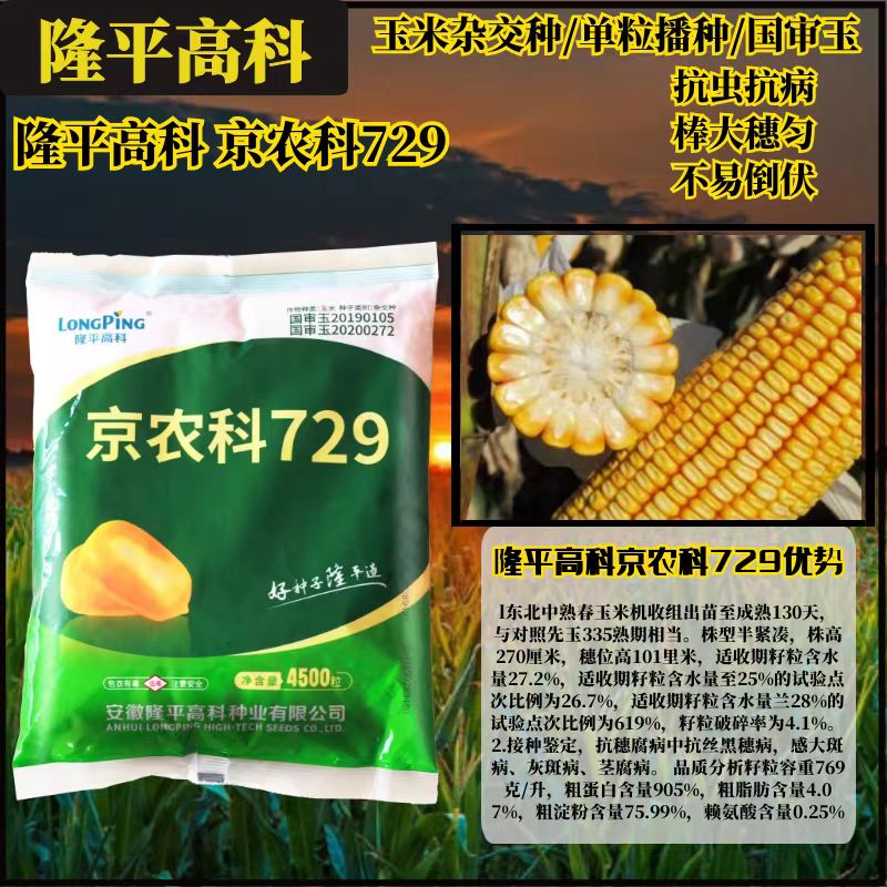 隆平京农科729国审玉米种子杂交苞米种
