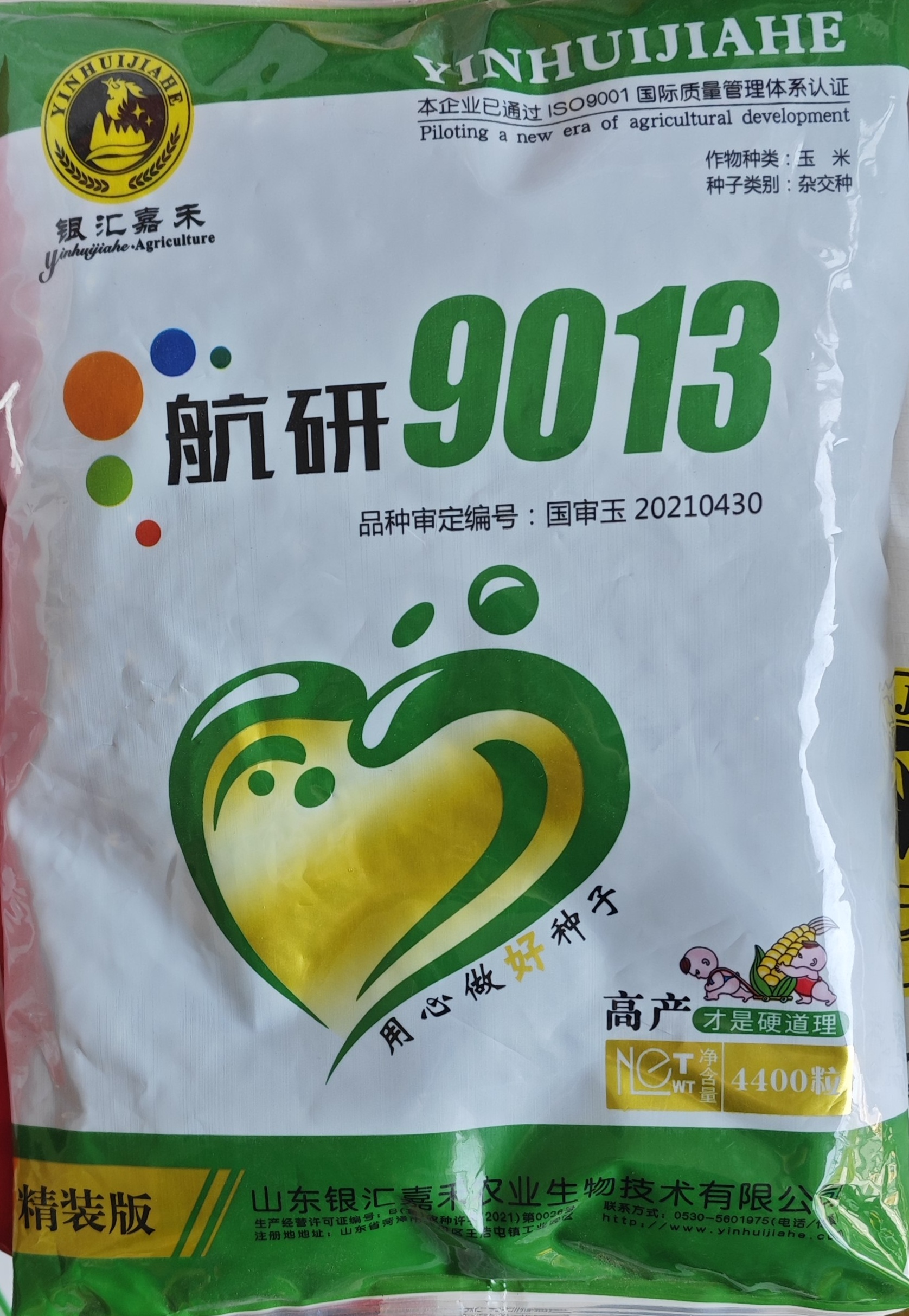航研9013玉米种苞米种高产抗病
