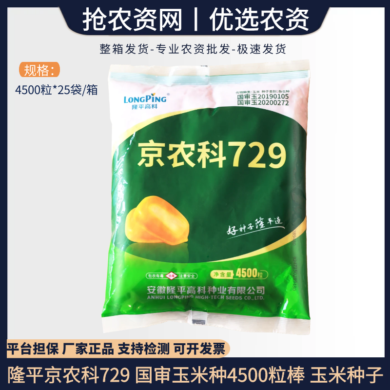 隆平京农科729 国审玉米种4500粒棒大籽粒长轴细锈病倒伏玉米种子
