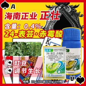 海南正业 正壮-0.4%24-表芸·赤霉酸-可溶液剂