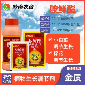 金质植物龙-5%胺鲜酯-水剂