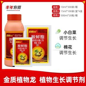 金质植物龙-5%胺鲜酯-水剂