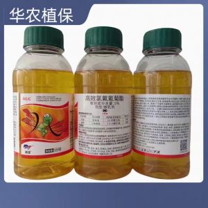 劲瓜瓜-5%高效氯氟氰菊酯-微乳剂