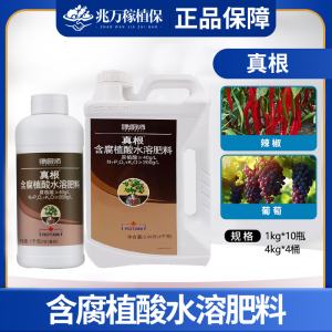 龙灯真根 含腐植酸水溶肥料