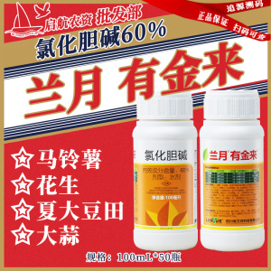兰月有金来-60%氯化胆碱-水剂