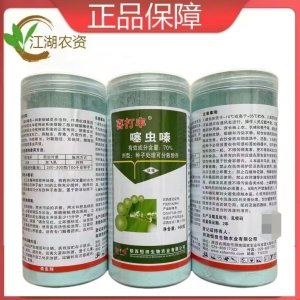 喜打丰-70%噻虫嗪-种子处理可分散粉剂