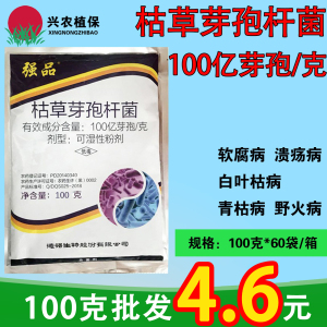 强品-100亿芽孢/克枯草芽孢杆菌-可湿性粉剂