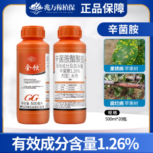 国光 全蚀-1.26%辛菌胺醋酸盐-水剂