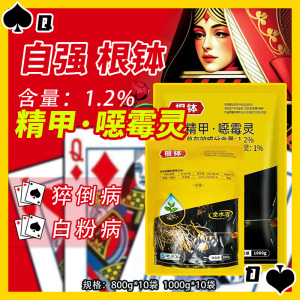 根钵-1.2%精甲·噁霉灵-颗粒剂