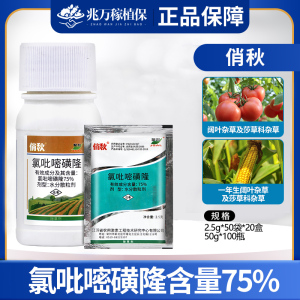 俏秋-75%氯吡嘧磺隆-水分散粒剂