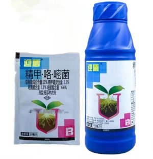 迎盾-11%精甲·咯·嘧菌-悬浮种衣剂