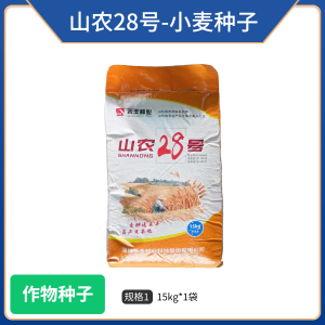 山农28号-小麦种子